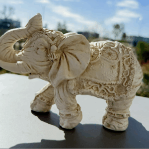 Elefante